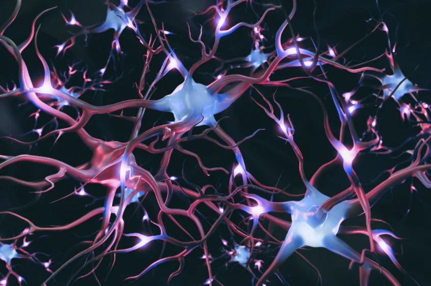 Illustration of neurotransmitters communicating between neurons in the brain