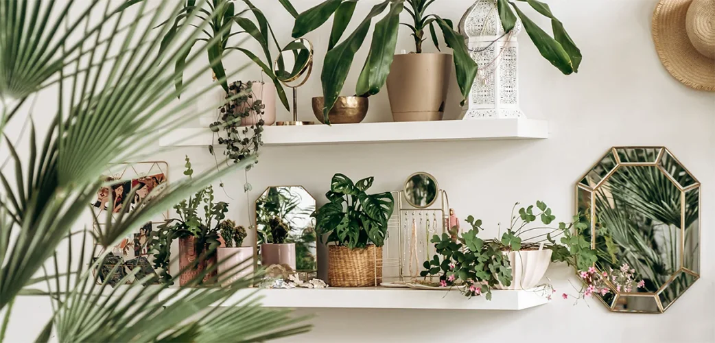 Urban air pollution indoor air quality Natural strategies for respiratory health ok